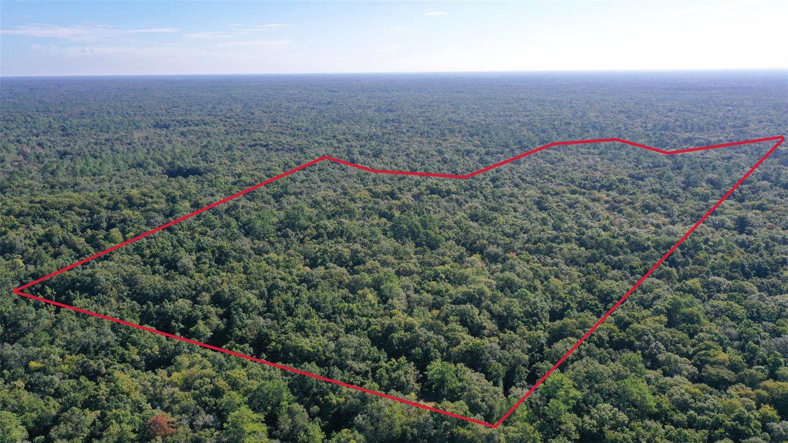 0000 SW FOX TROT RD, CHIEFLAND, FL, 32626