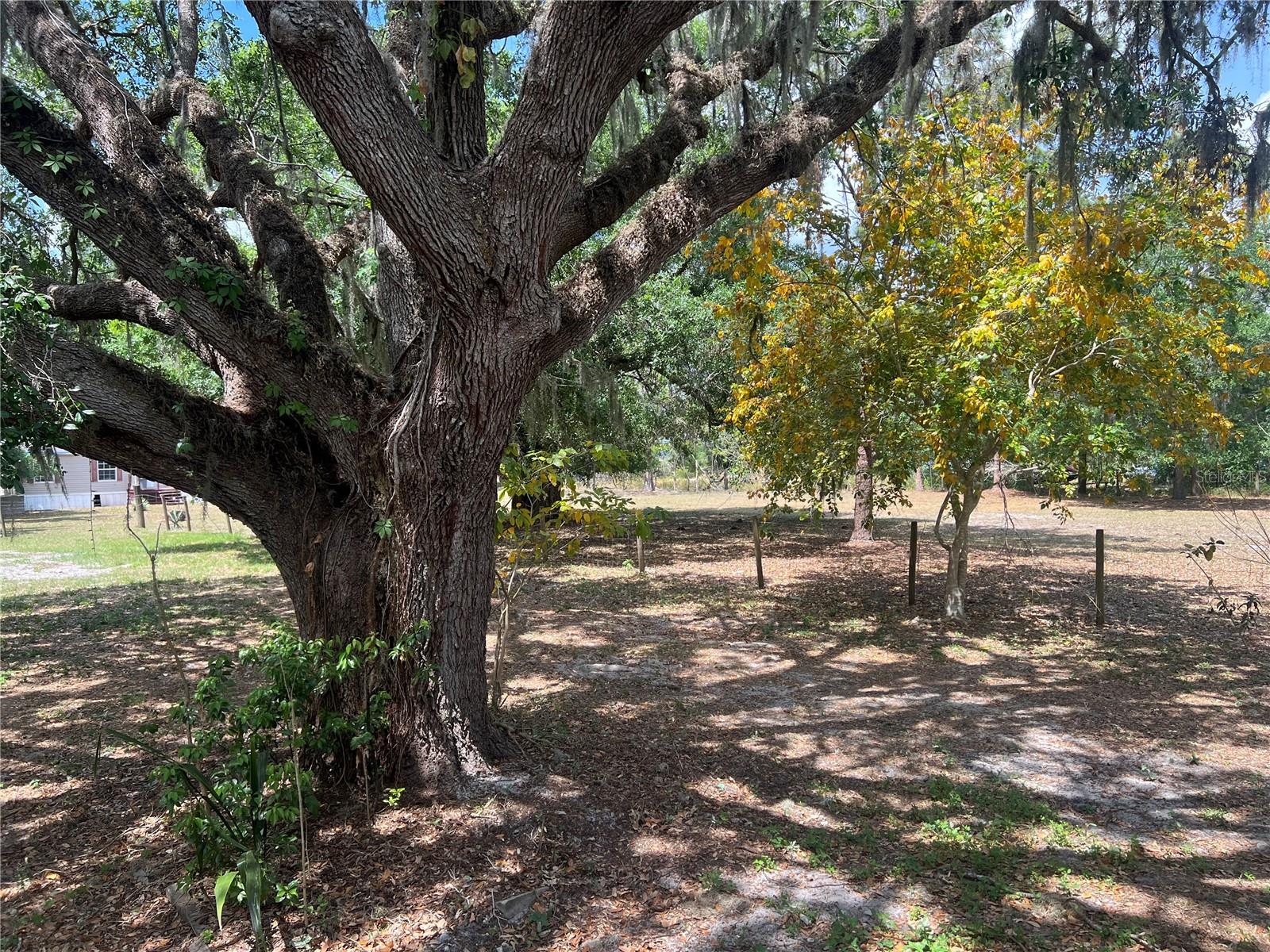 641 KIELLA RD, WAUCHULA, FL, 33873