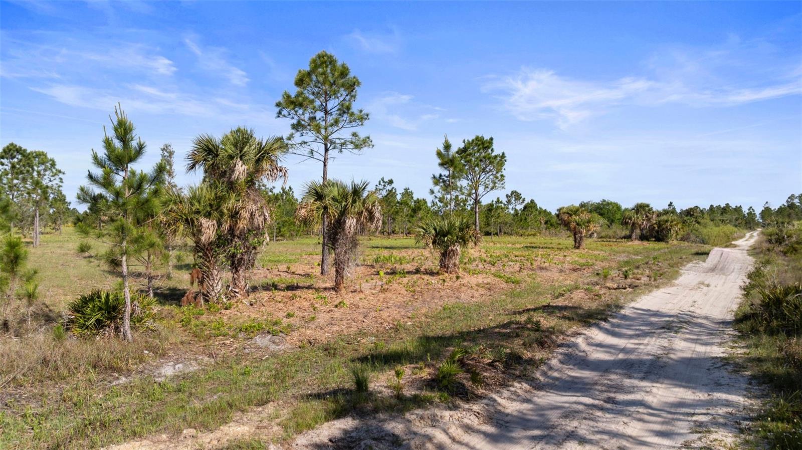 50534 BERMONT RD, PUNTA GORDA, FL, 33982