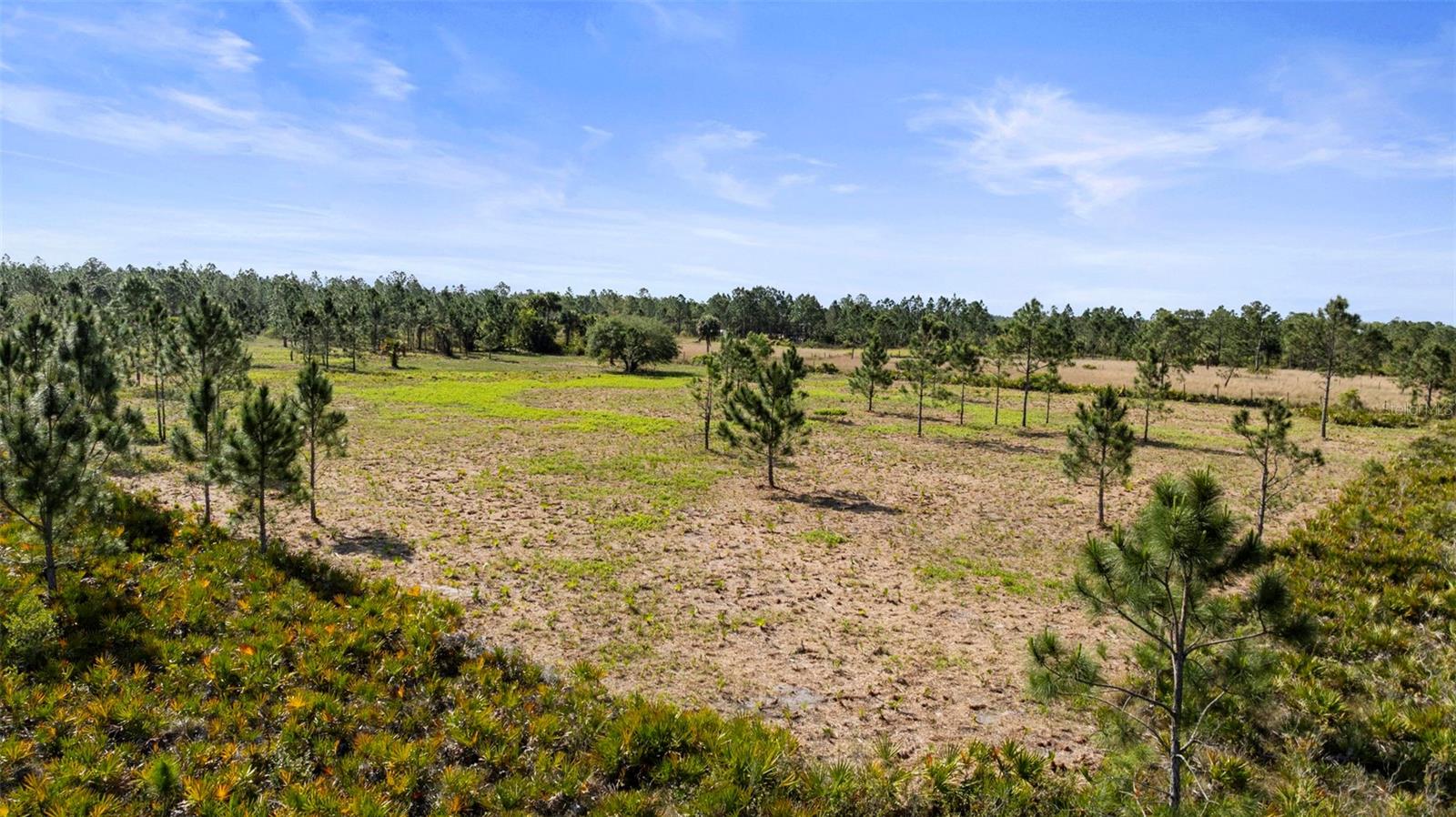 50534 BERMONT RD, PUNTA GORDA, FL, 33982