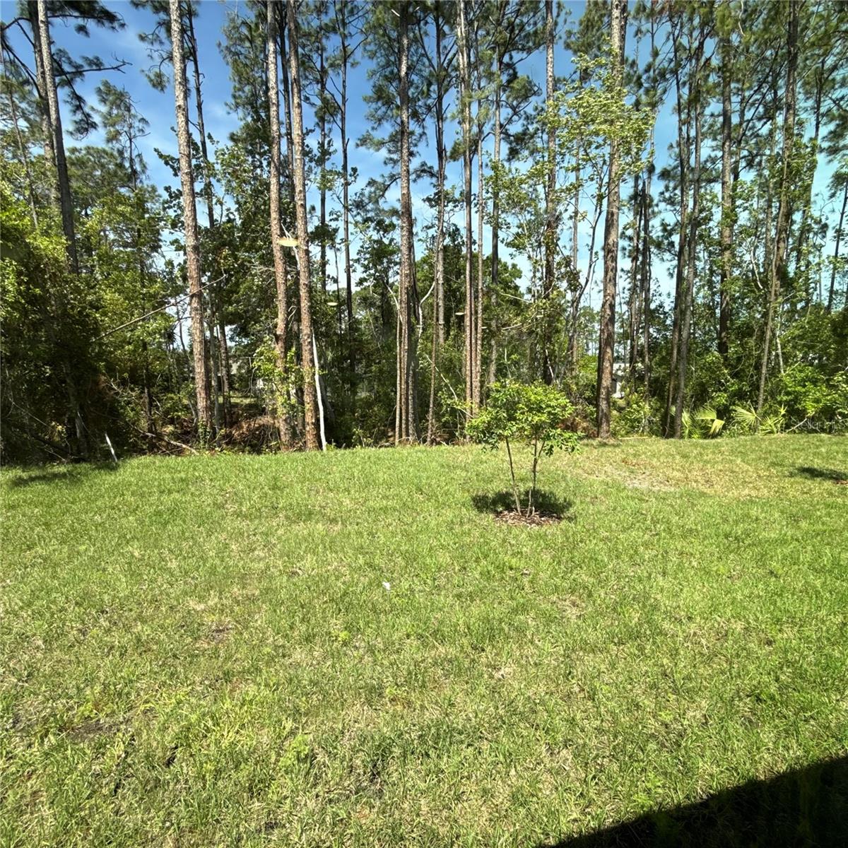 131 PALMWOOD DR, PALM COAST, FL, 32164