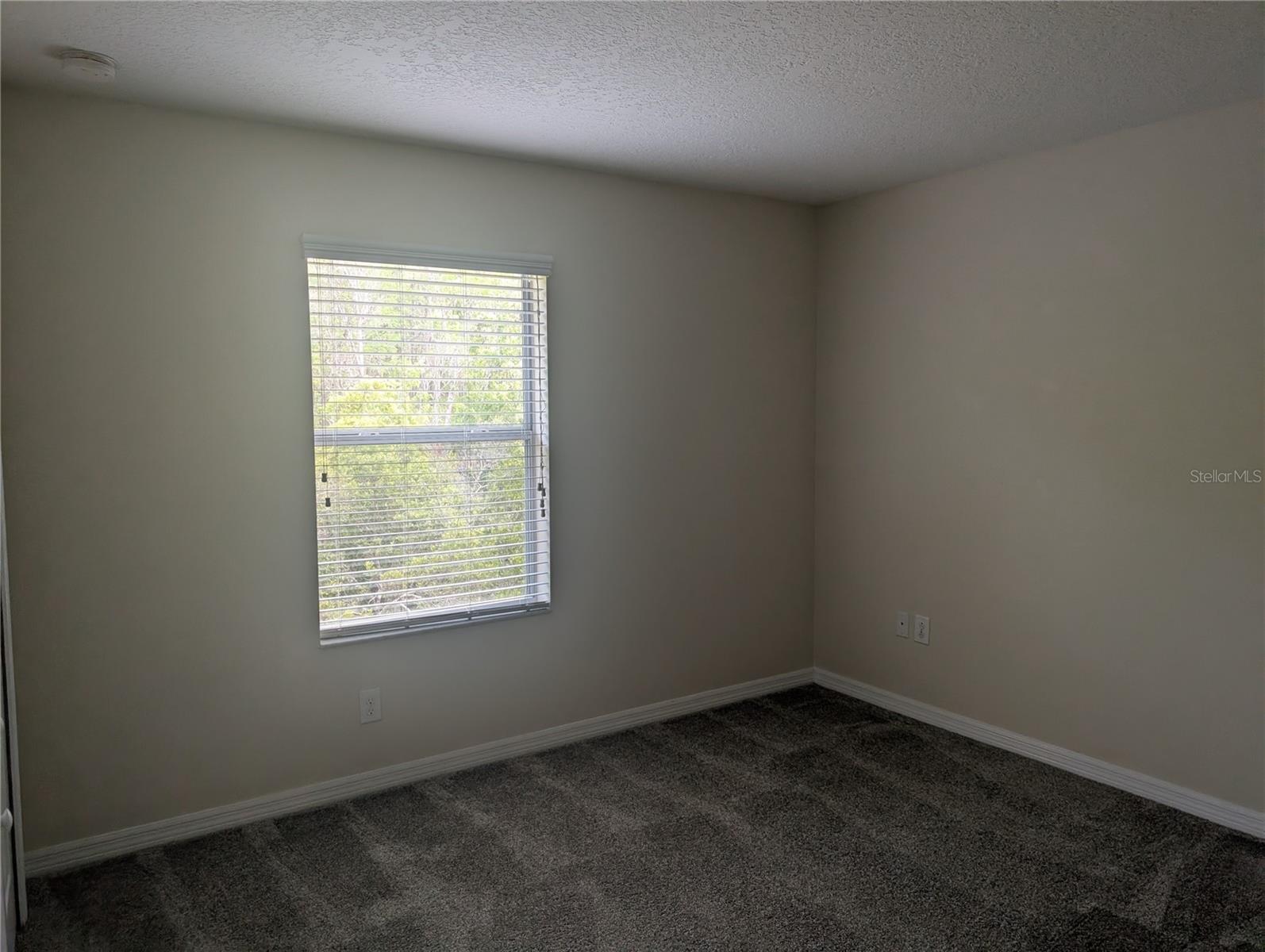 8508 ZAPOTA WAY, TAMPA, FL, 33647