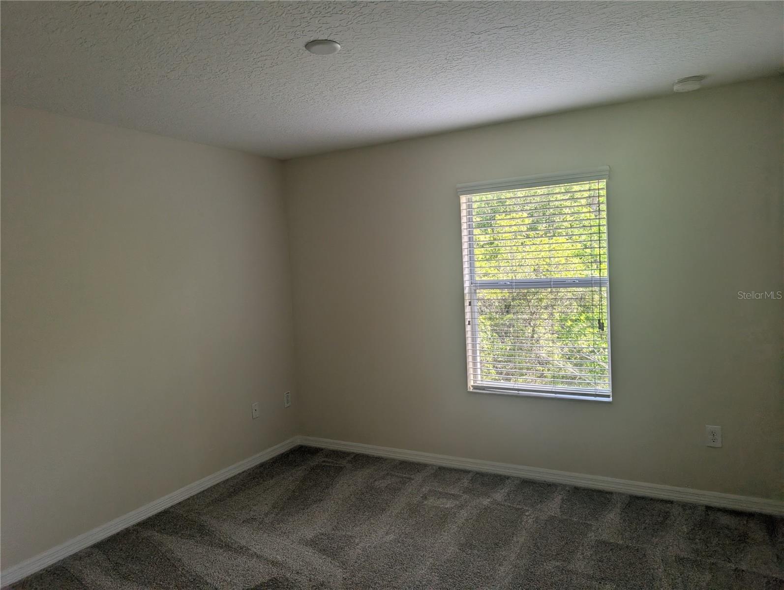 8508 ZAPOTA WAY, TAMPA, FL, 33647