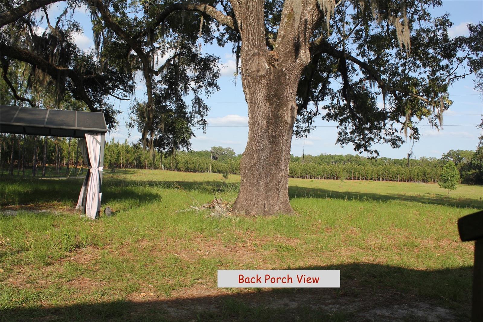 16271 NW COUNTY ROAD 339, TRENTON, FL, 32693