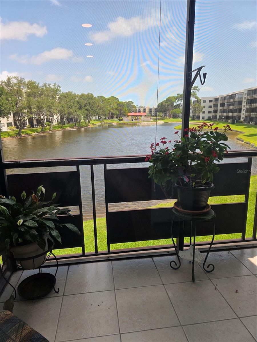 6190 80TH ST N #204, ST PETERSBURG, FL, 33709