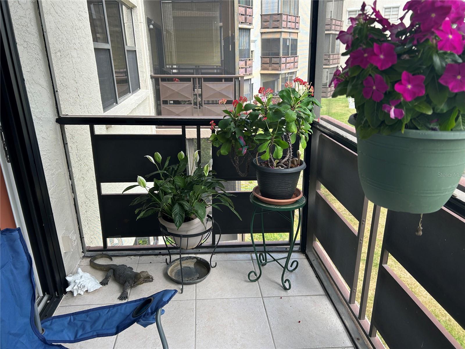 6190 80TH ST N #204, ST PETERSBURG, FL, 33709