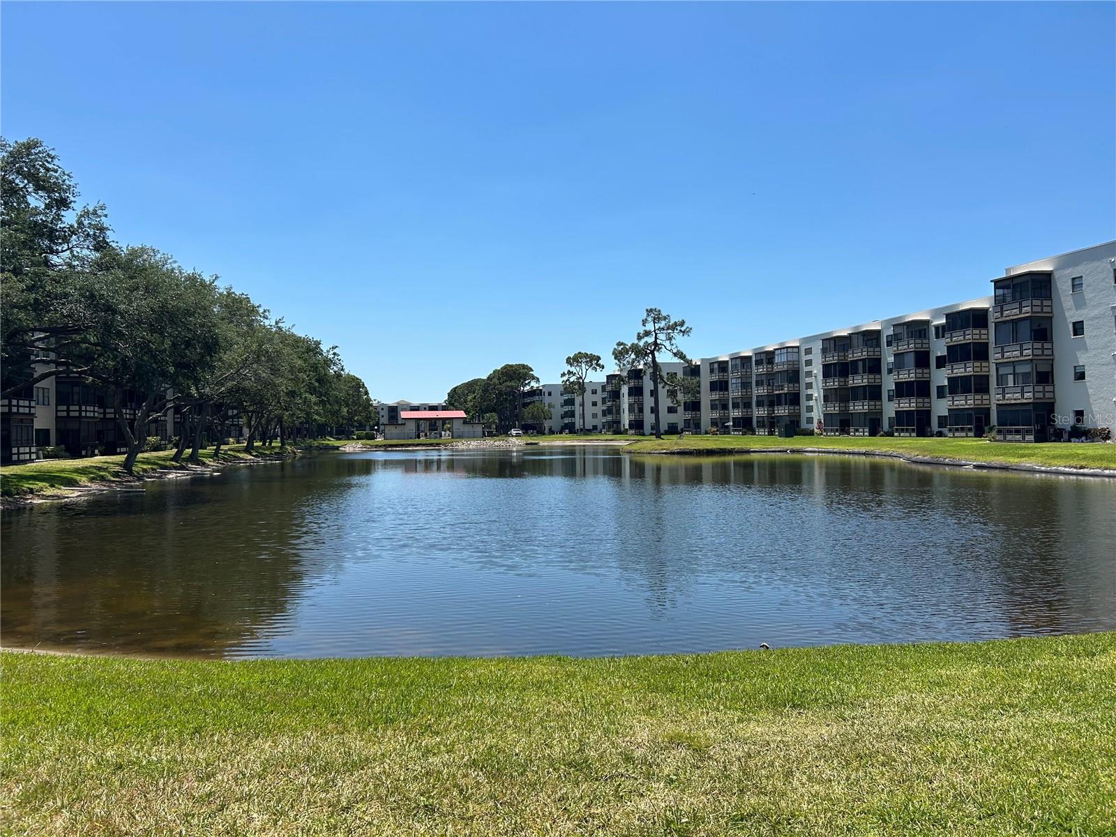 6190 80TH ST N #204, ST PETERSBURG, FL, 33709