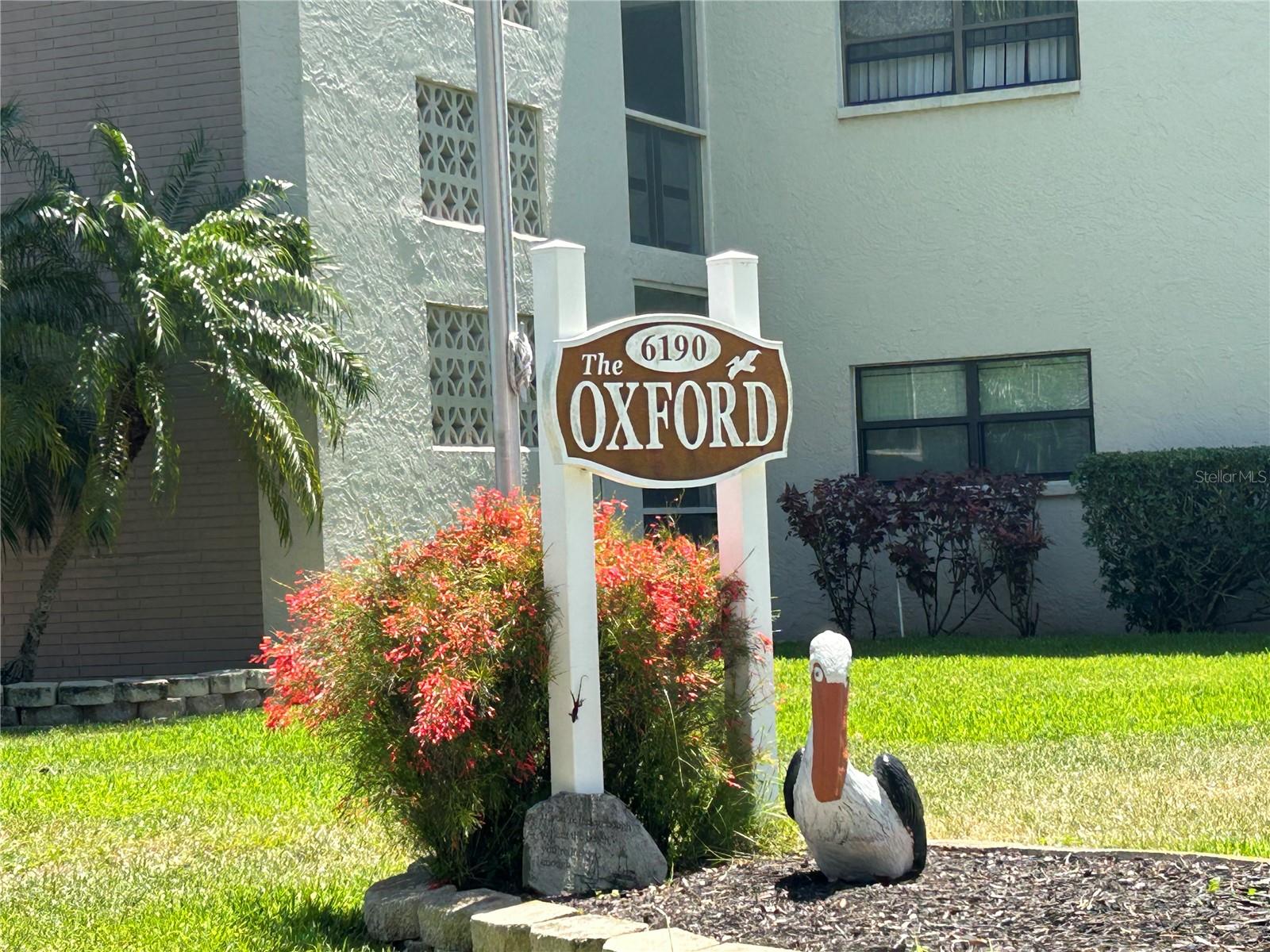 6190 80TH ST N #204, ST PETERSBURG, FL, 33709