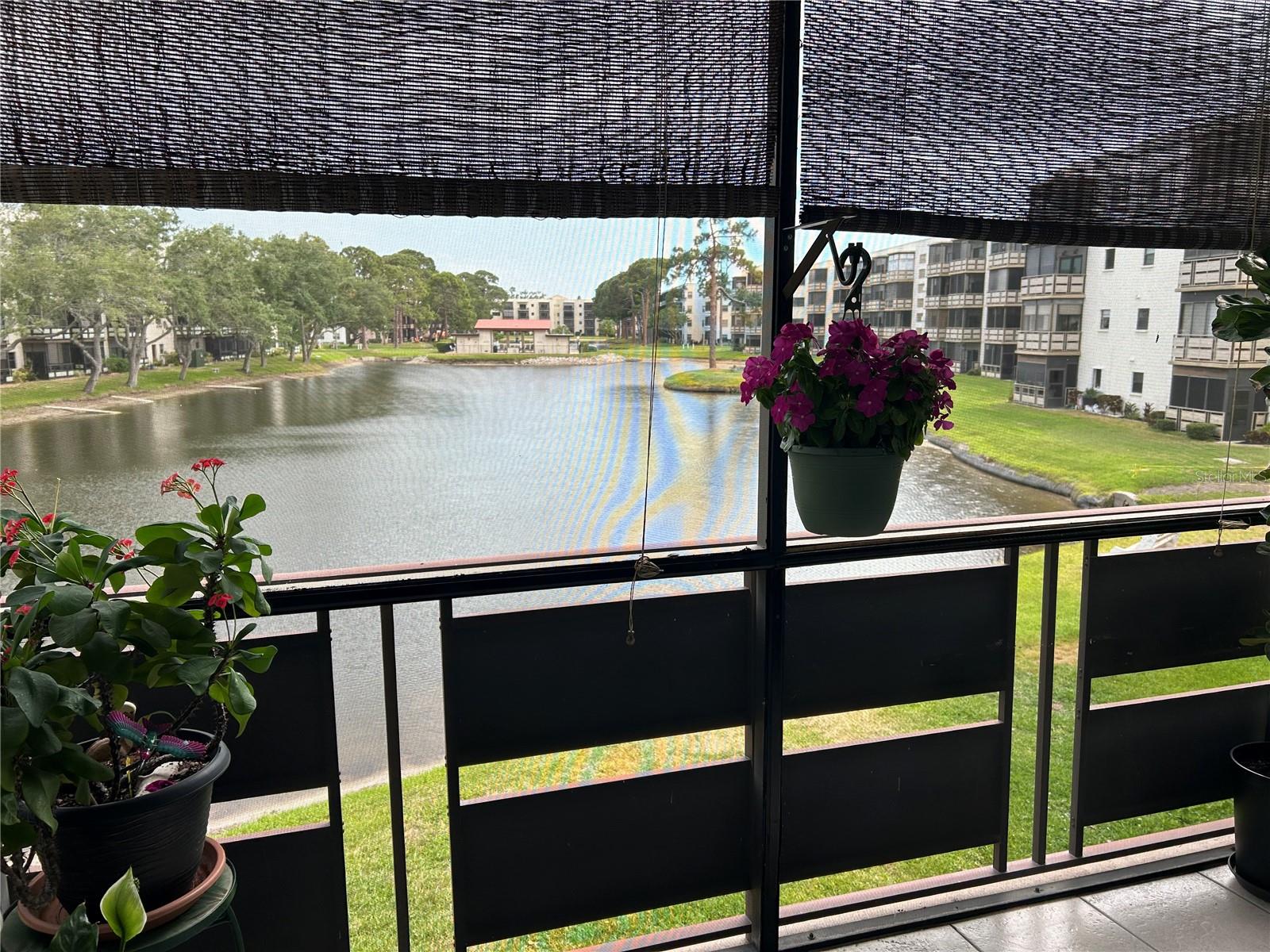 6190 80TH ST N #204, ST PETERSBURG, FL, 33709