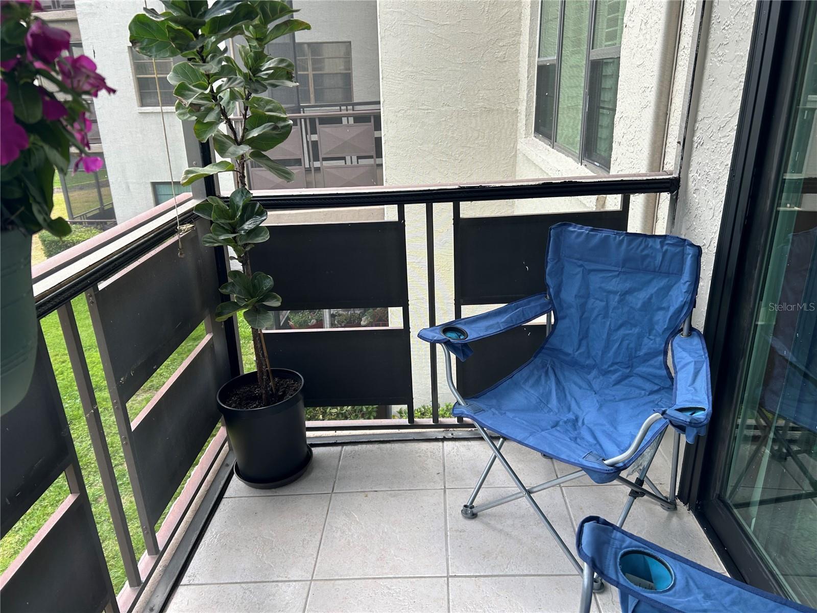 6190 80TH ST N #204, ST PETERSBURG, FL, 33709