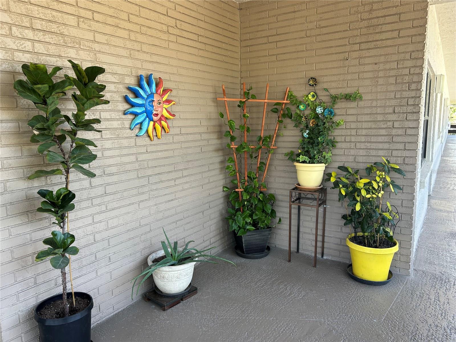 6190 80TH ST N #204, ST PETERSBURG, FL, 33709