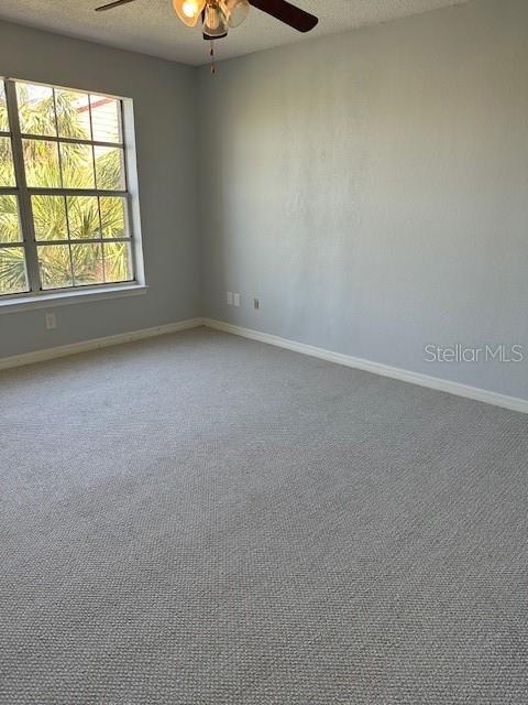 TB8375494 Property Photo