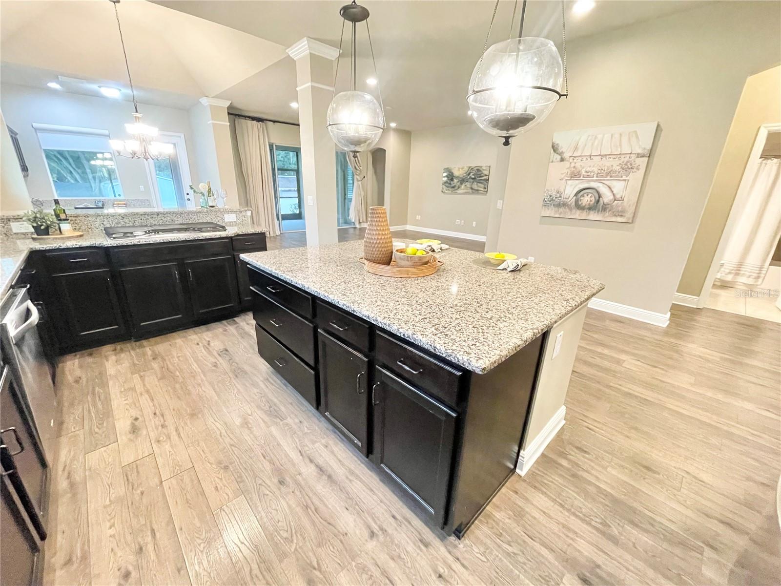 1301 CADENCE CT, BRANDON, FL, 33511