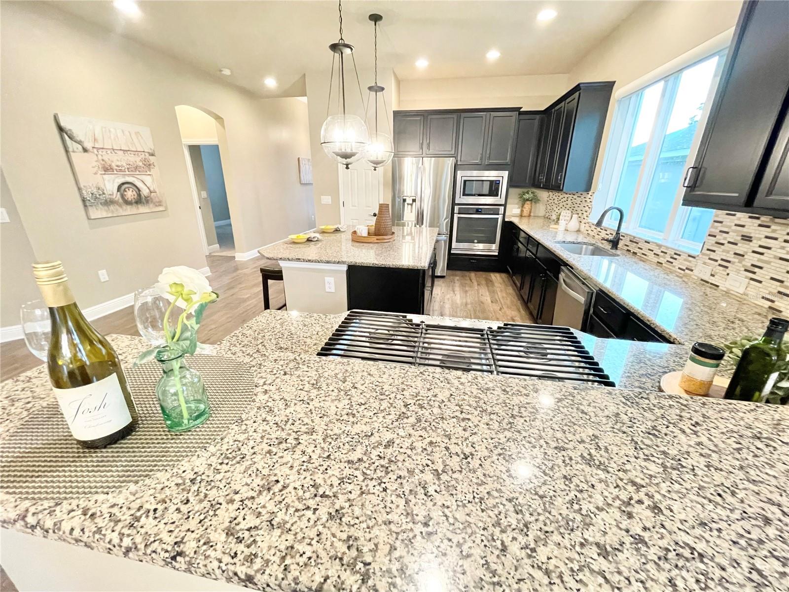 1301 CADENCE CT, BRANDON, FL, 33511