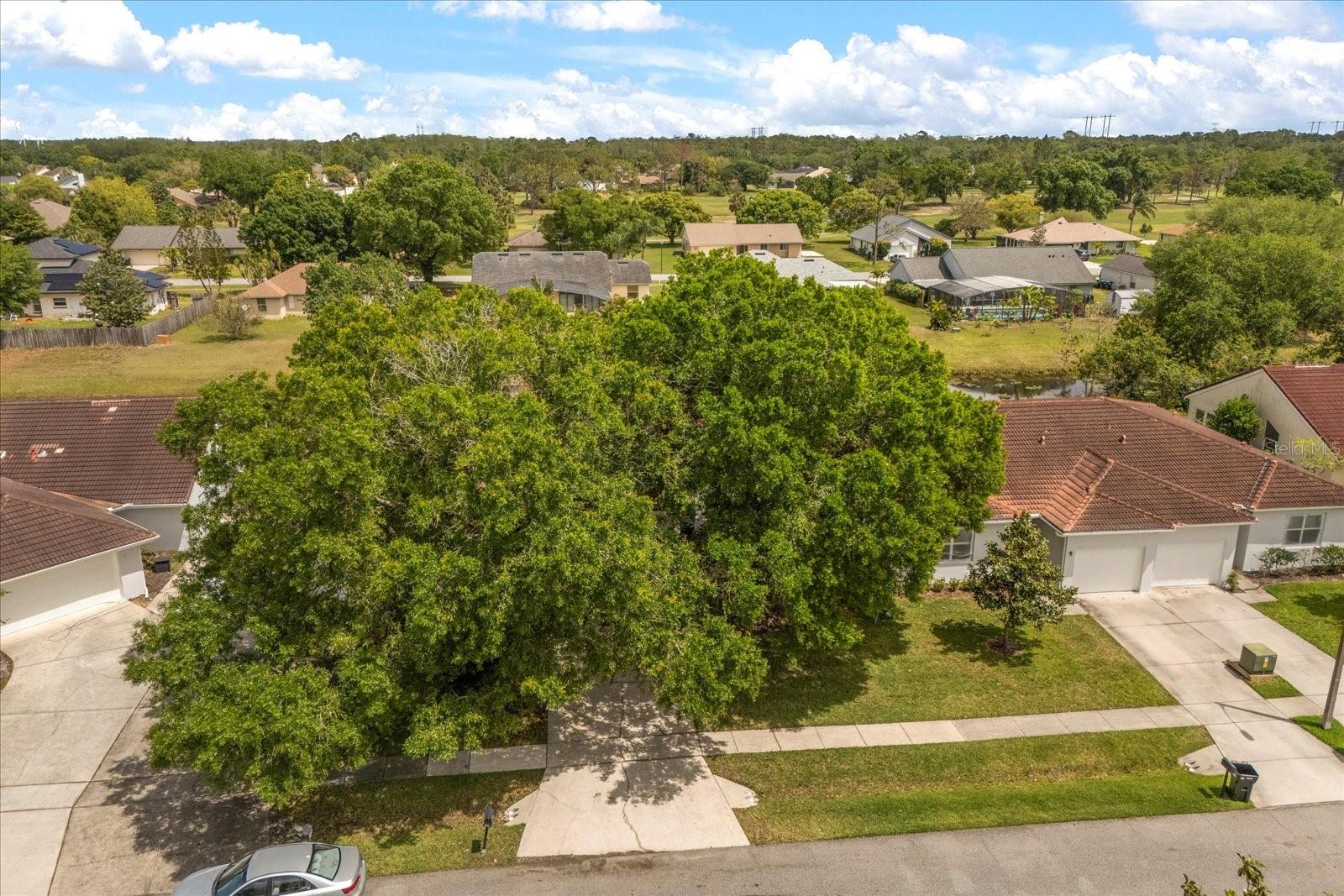 2565 ALBION AVE #2, ORLANDO, FL, 32833