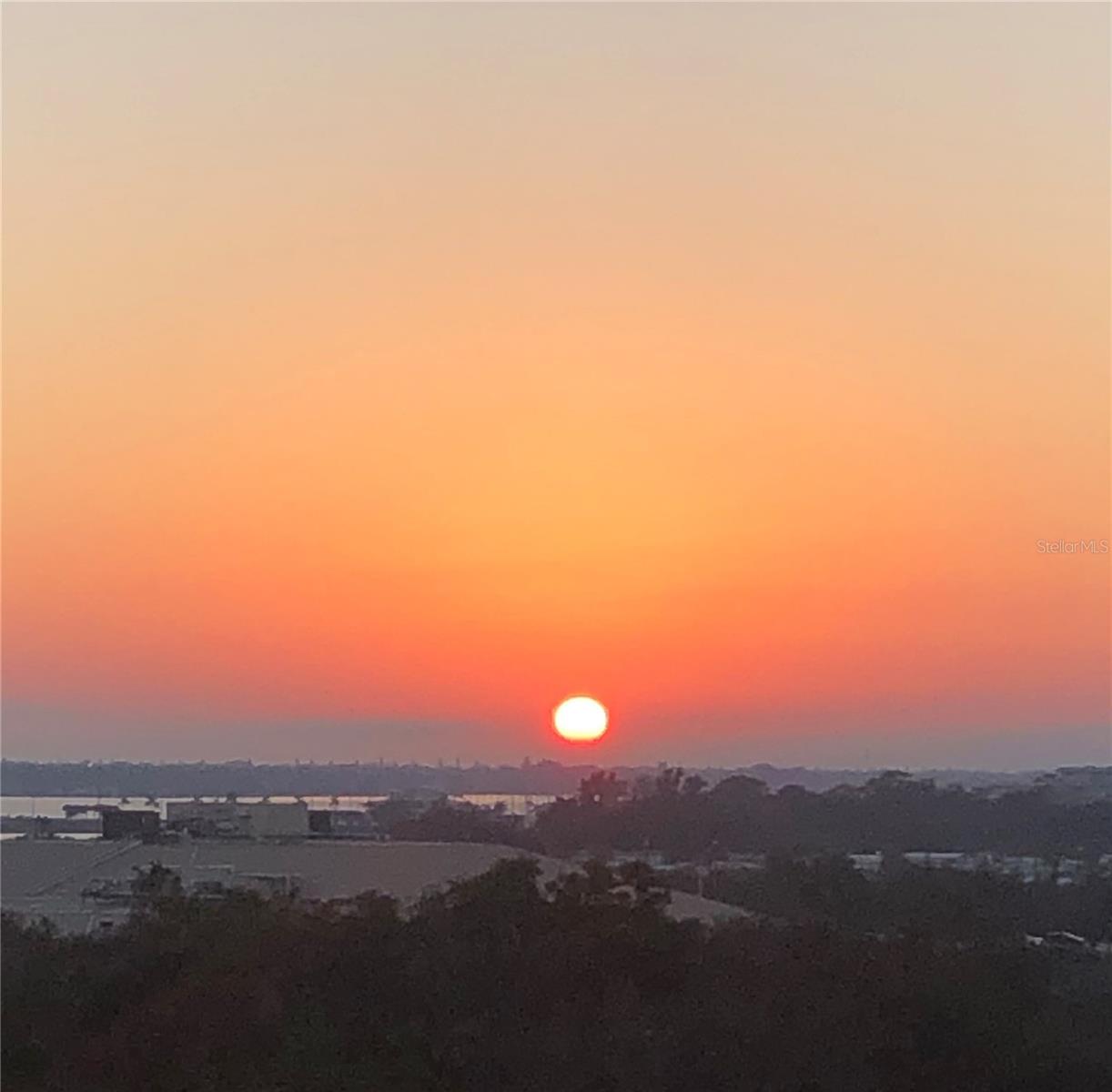 501 HABEN BLVD #704, PALMETTO, FL, 34221