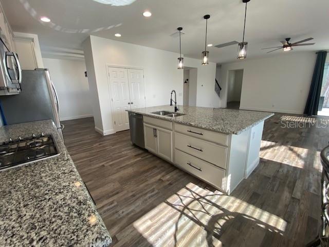 1142 BLARNEY ST, MINNEOLA, FL, 34715