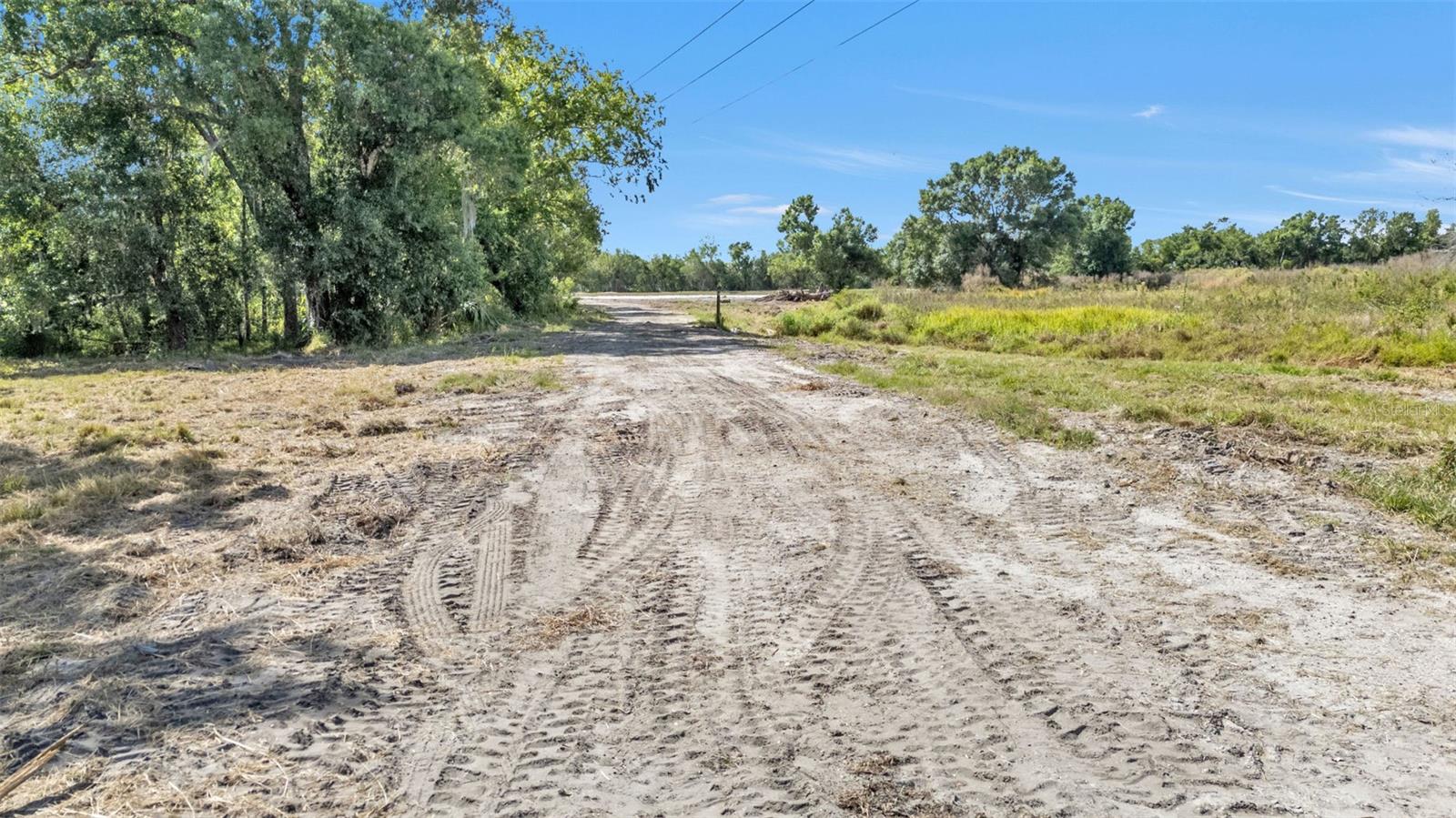 1473 SW REYNOLDS ST, ARCADIA, FL, 34266