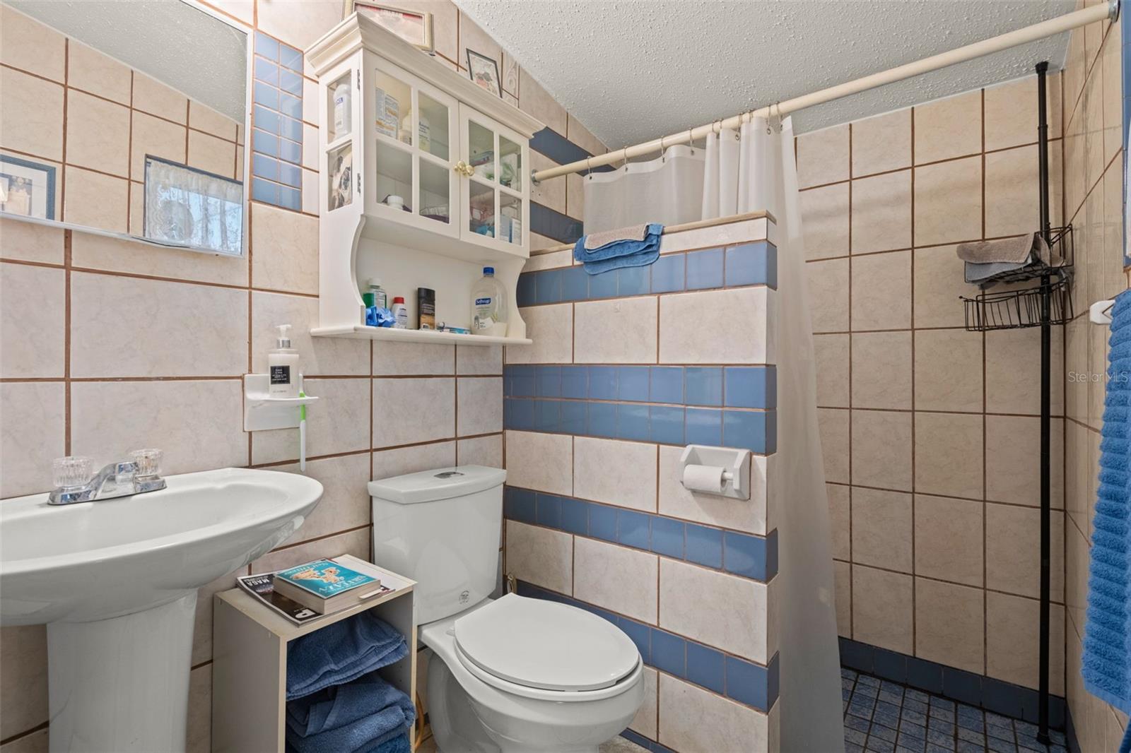 2805 OLAVET CT, VALRICO, FL, 33596