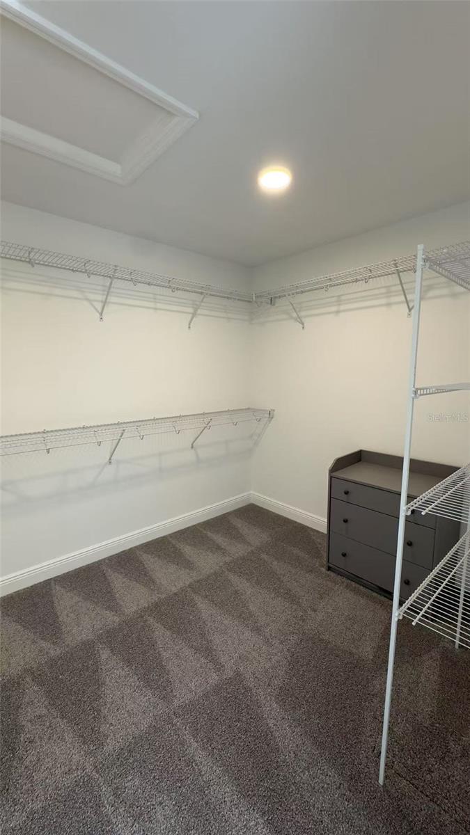 31810 ASBURY AVENUE, WESLEY CHAPEL, FL, 33545