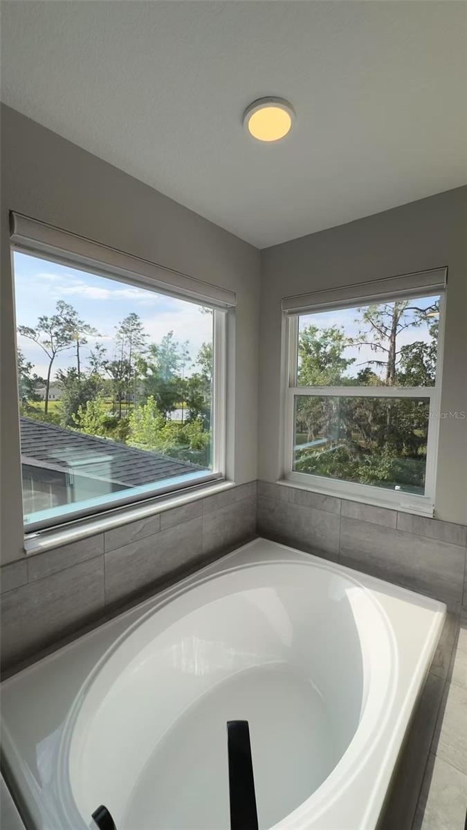 31810 ASBURY AVENUE, WESLEY CHAPEL, FL, 33545