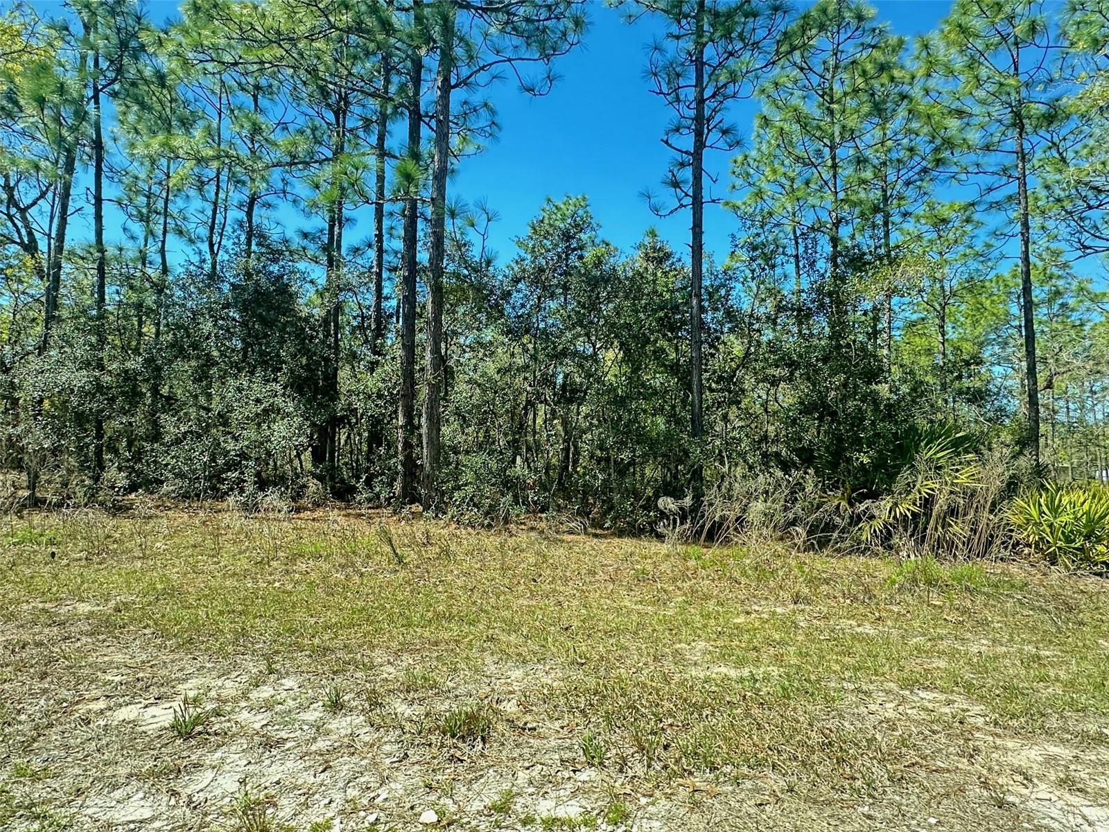 LOT 22 CAYMAN RD, BROOKSVILLE, FL, 34614
