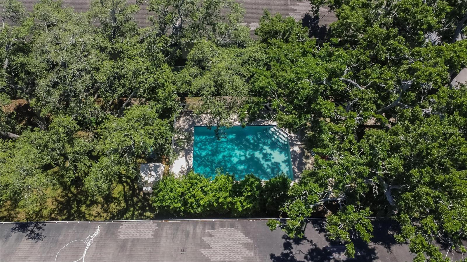 5864 NATURE TERRACE CV, TAMPA, FL, 33617