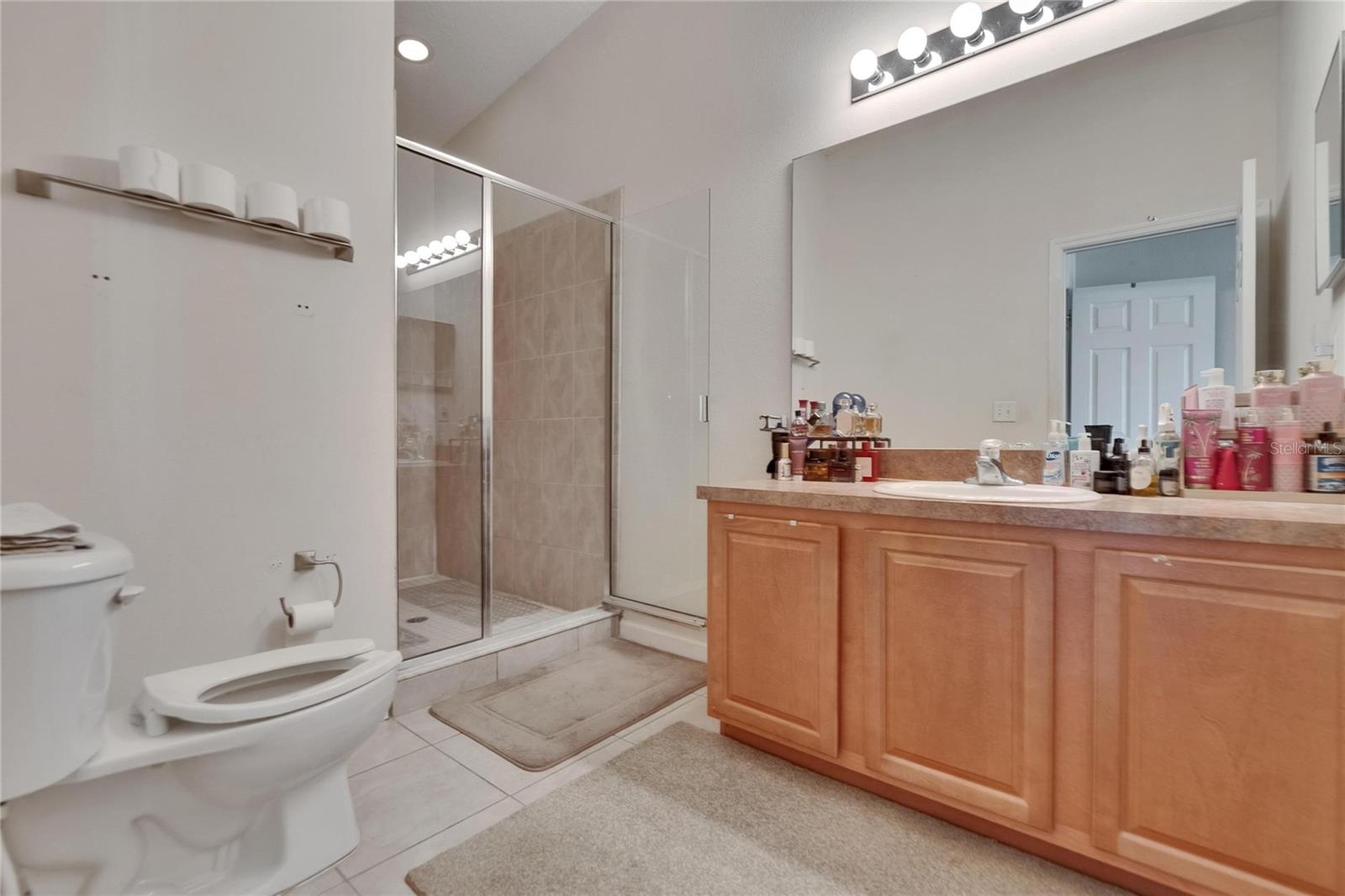 5864 NATURE TERRACE CV, TAMPA, FL, 33617