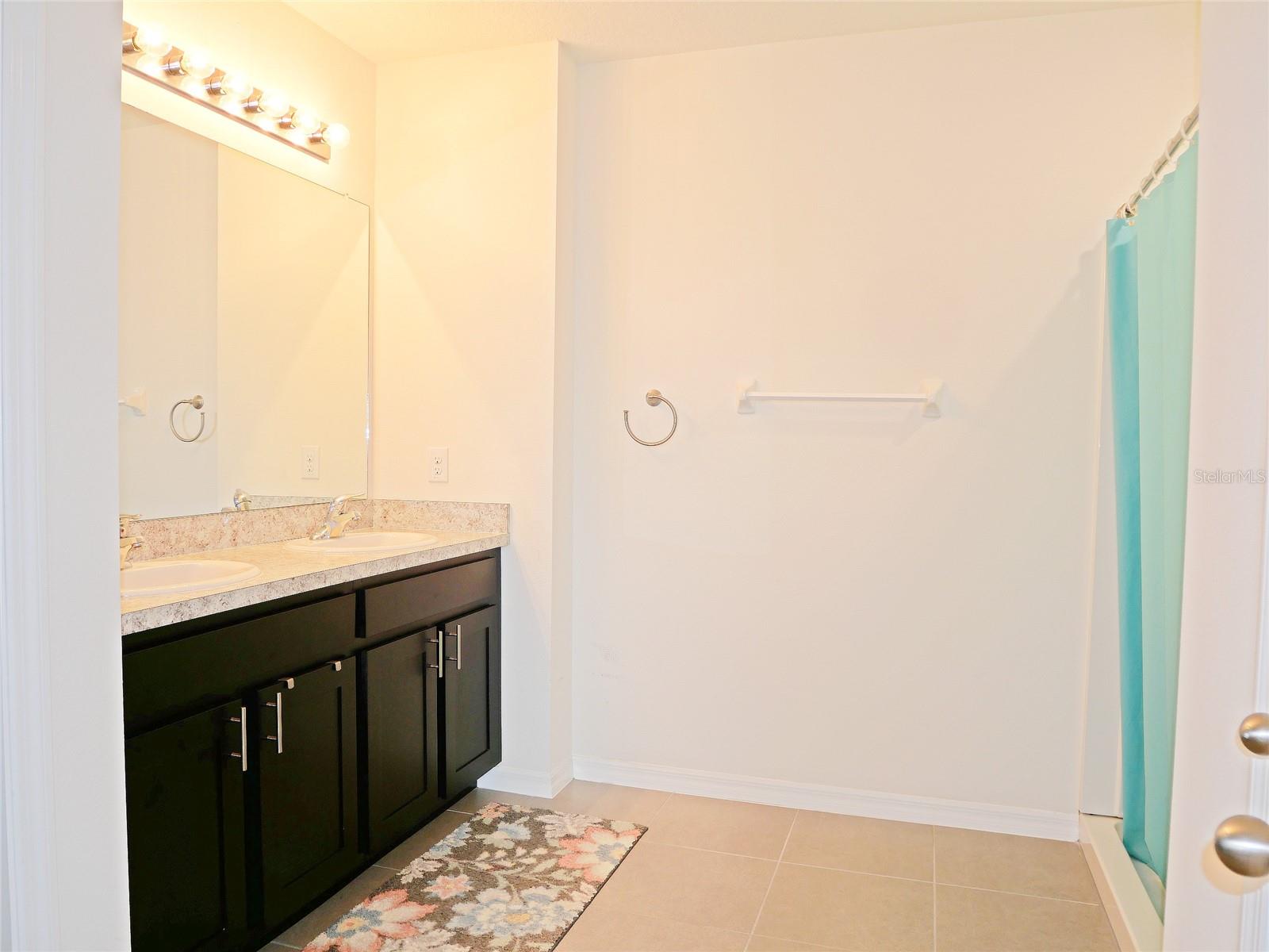 16858 SECRET MEADOW DR, ODESSA, FL, 33556