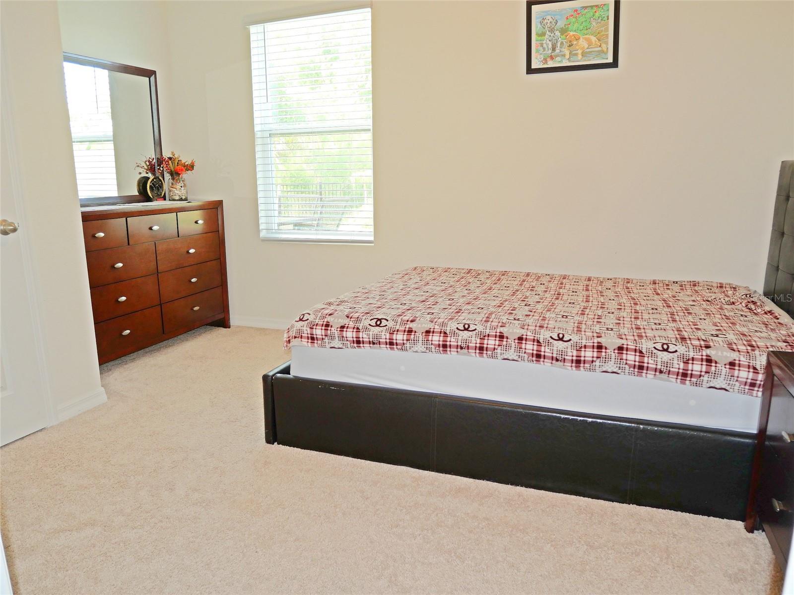 16858 SECRET MEADOW DR, ODESSA, FL, 33556