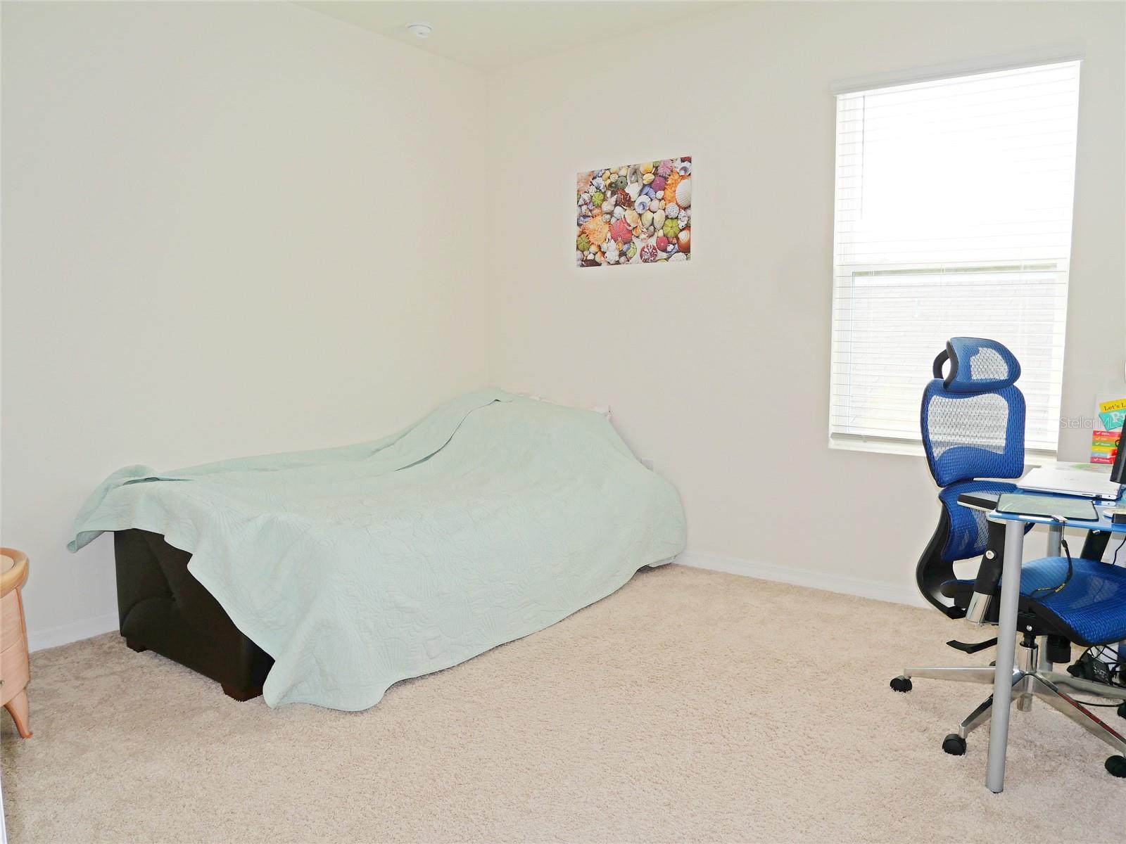 16858 SECRET MEADOW DR, ODESSA, FL, 33556