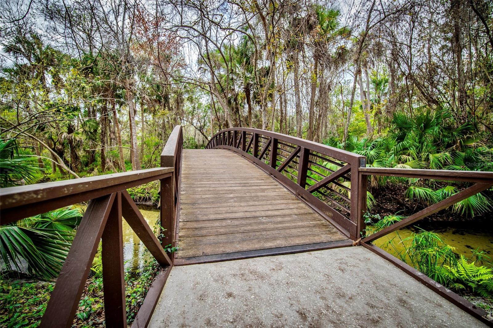 136 BRIDGEVIEW CT, LONGWOOD, FL, 32779