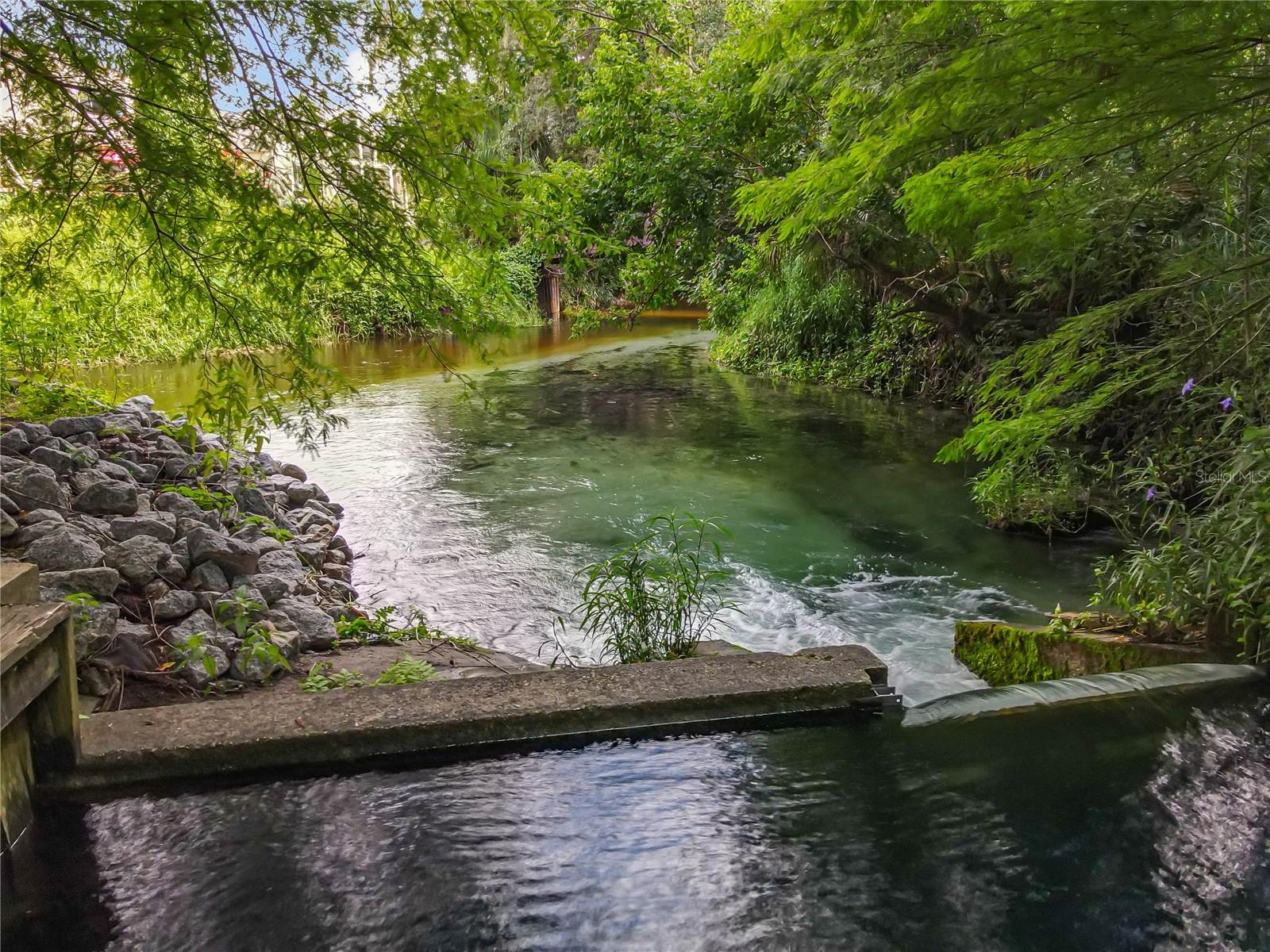 136 BRIDGEVIEW CT, LONGWOOD, FL, 32779