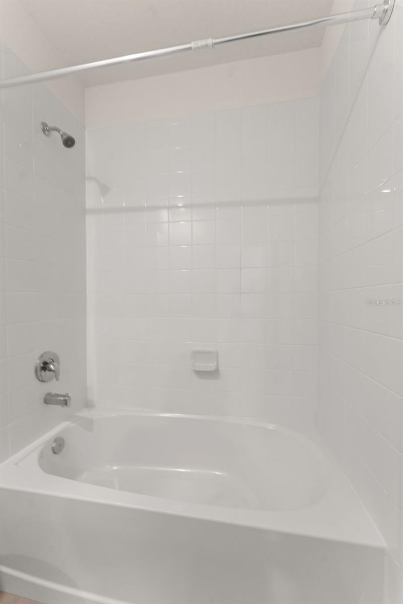 33537 APRICOT TREE CT, WESLEY CHAPEL, FL, 33543