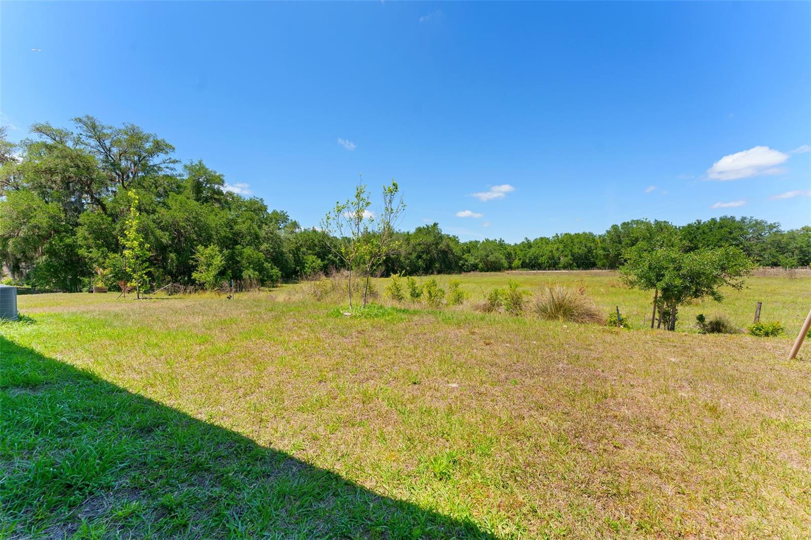 33537 APRICOT TREE CT, WESLEY CHAPEL, FL, 33543