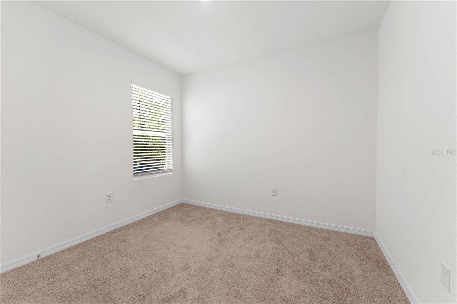 33537 APRICOT TREE CT, WESLEY CHAPEL, FL, 33543