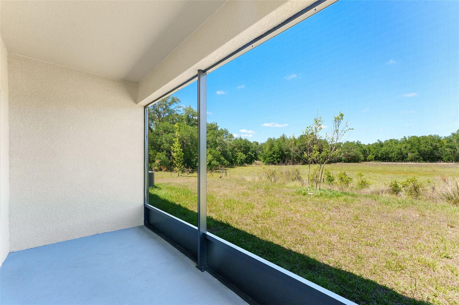 33537 APRICOT TREE CT, WESLEY CHAPEL, FL, 33543