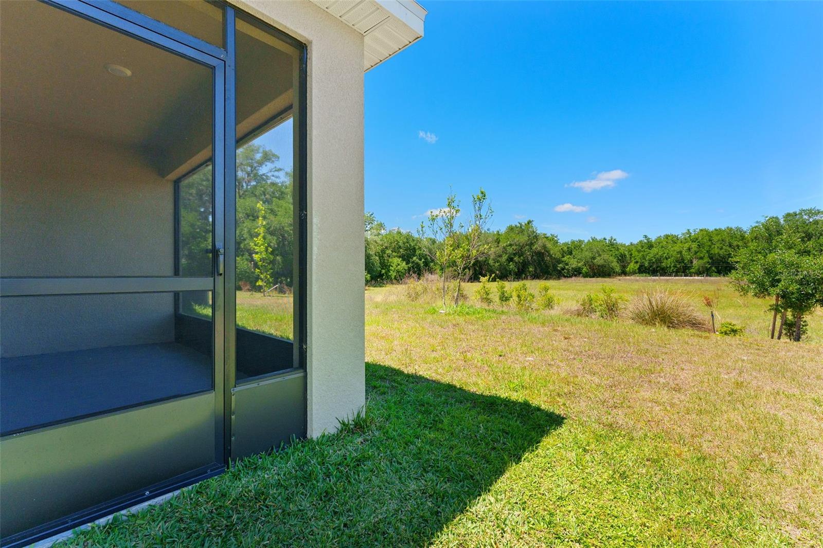 33537 APRICOT TREE CT, WESLEY CHAPEL, FL, 33543