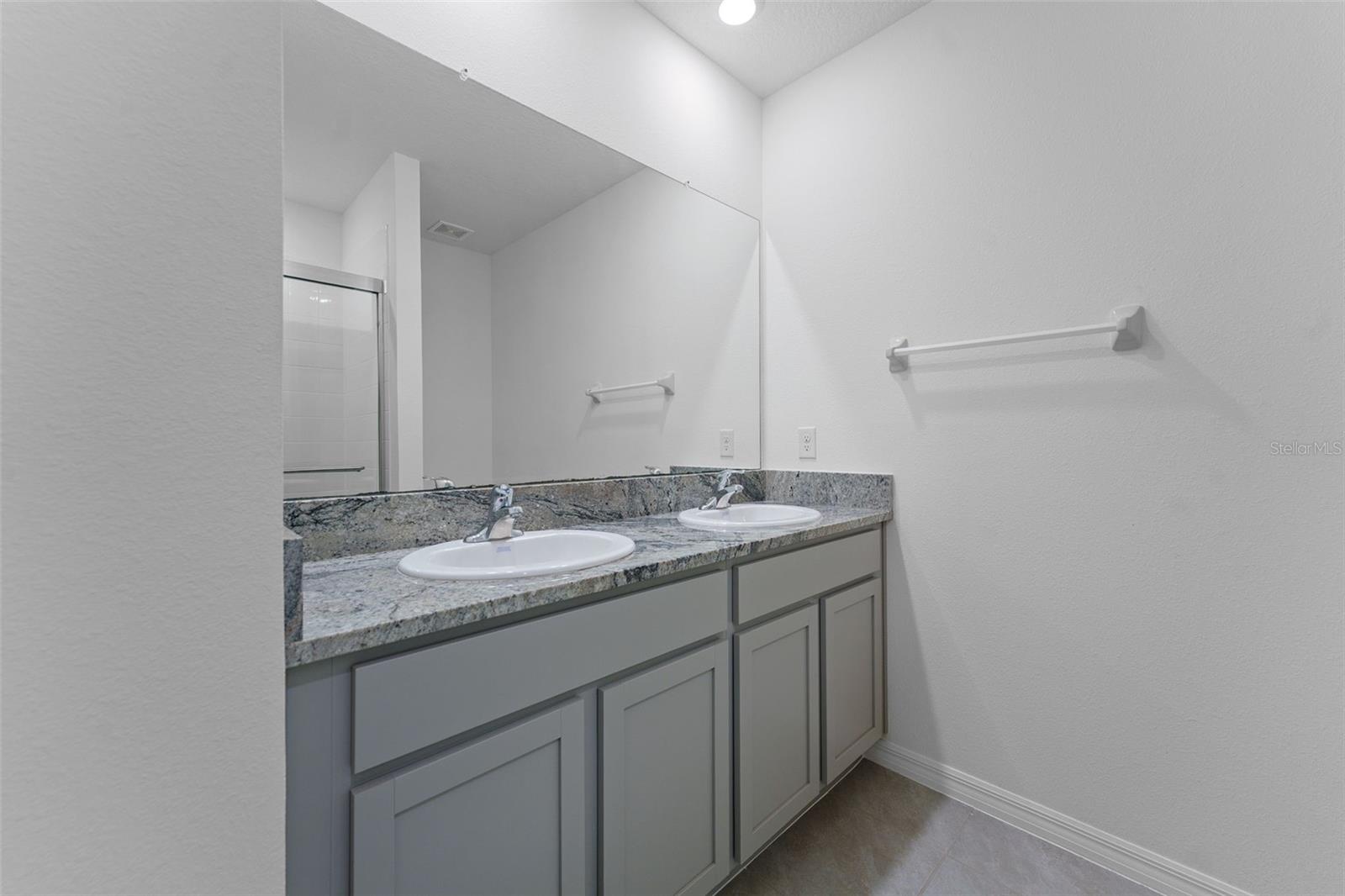 33537 APRICOT TREE CT, WESLEY CHAPEL, FL, 33543