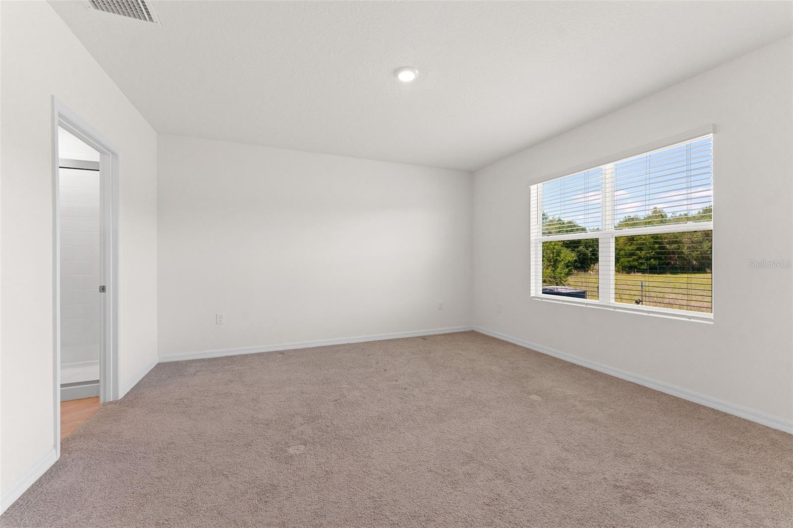 33537 APRICOT TREE CT, WESLEY CHAPEL, FL, 33543