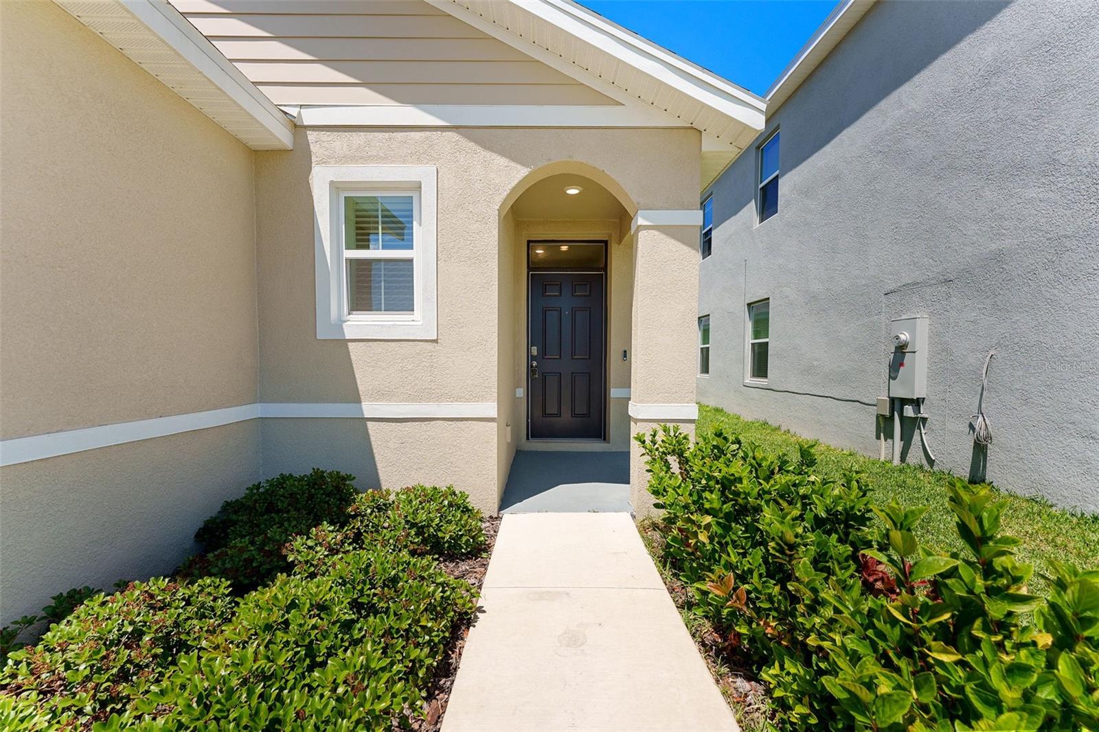 33537 APRICOT TREE CT, WESLEY CHAPEL, FL, 33543