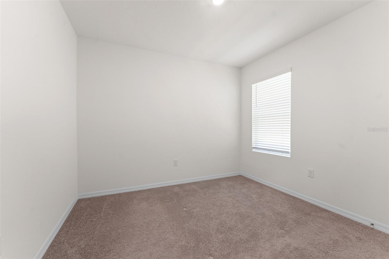 33537 APRICOT TREE CT, WESLEY CHAPEL, FL, 33543