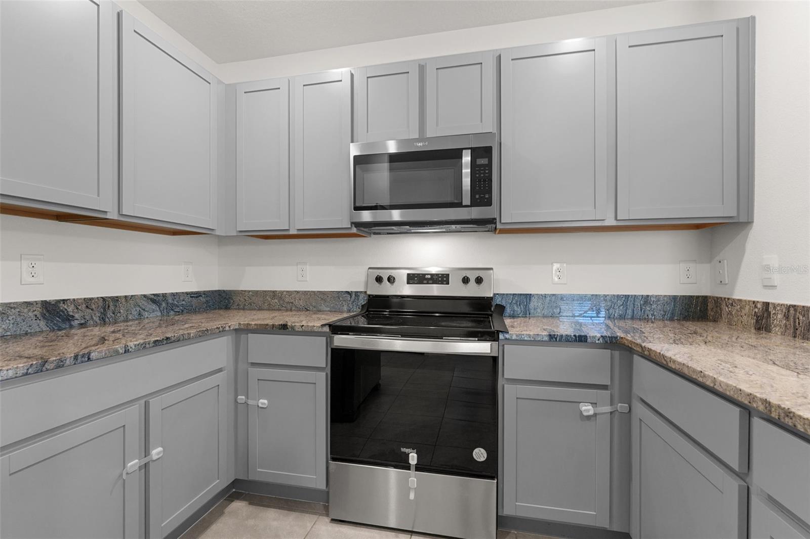 33537 APRICOT TREE CT, WESLEY CHAPEL, FL, 33543