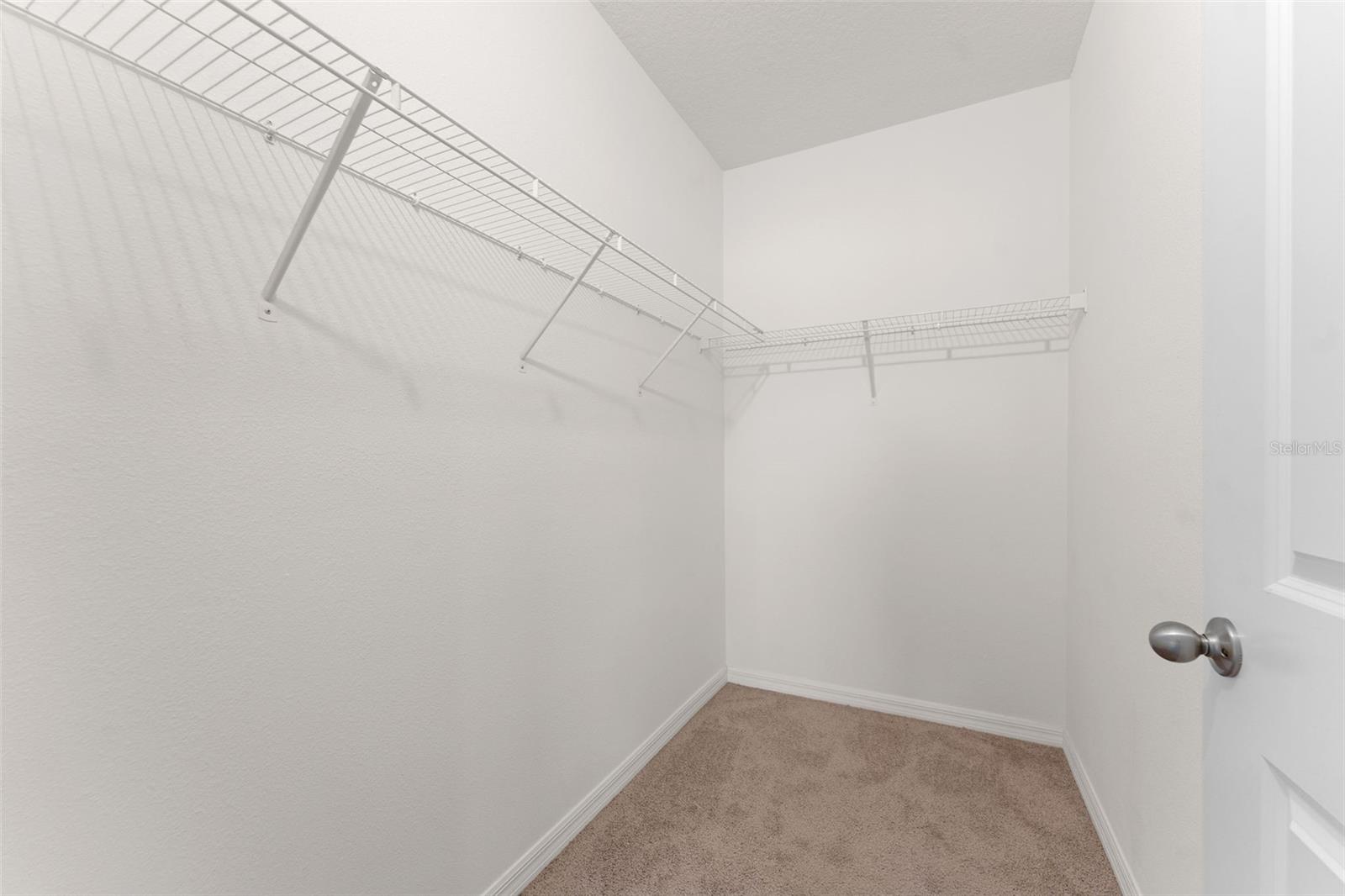 33537 APRICOT TREE CT, WESLEY CHAPEL, FL, 33543