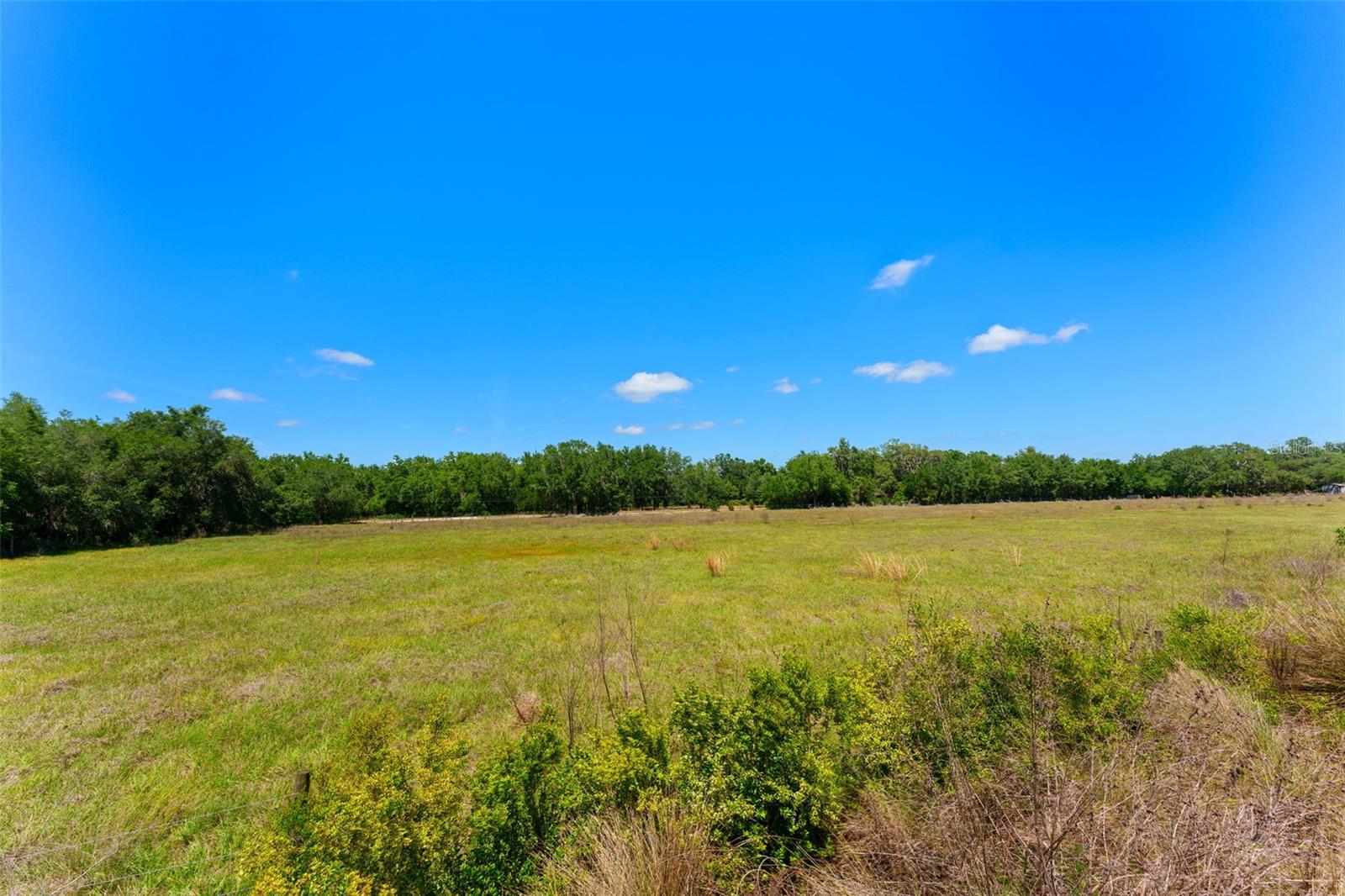 33537 APRICOT TREE CT, WESLEY CHAPEL, FL, 33543