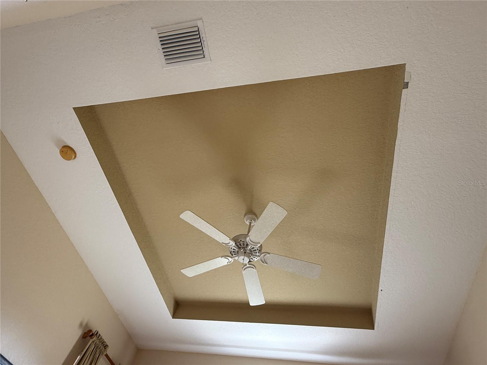 Tray ceiling in master bedroom