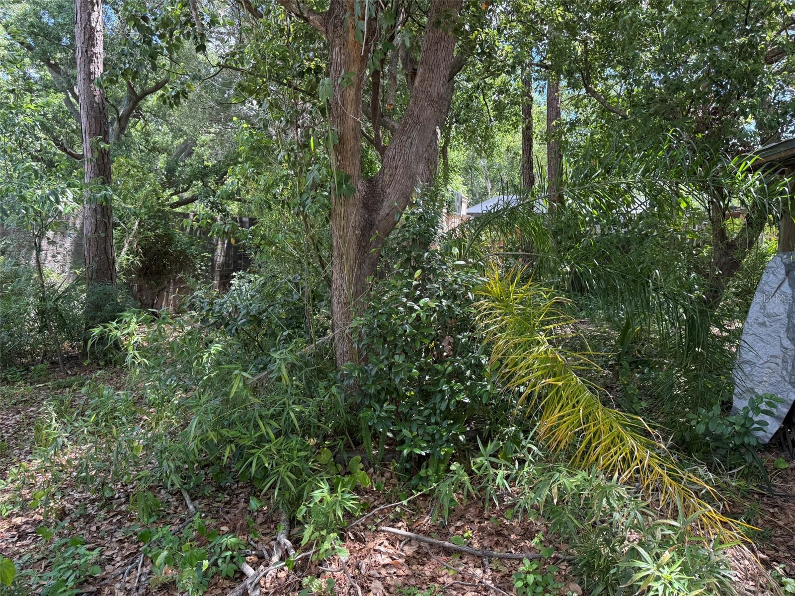 5517 PENTAIL CIR, TAMPA, FL, 33625