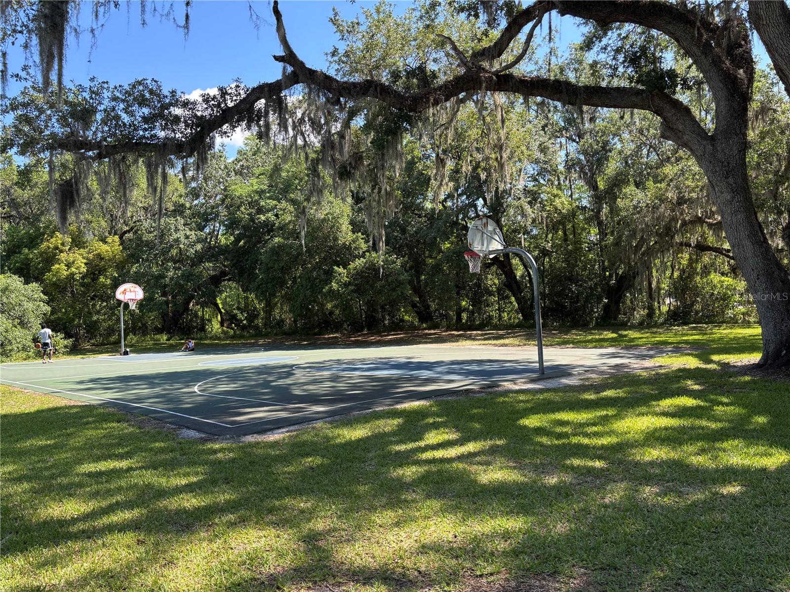 3105 SANGRIA ST, KISSIMMEE, FL, 34744