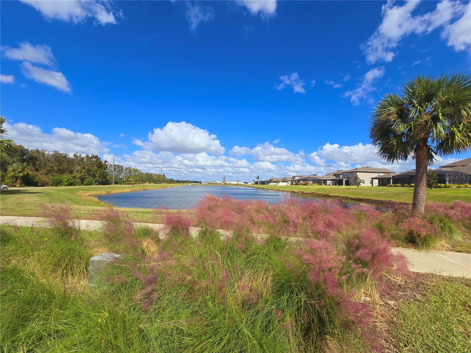 10303 MALVASIA AVE, RIVERVIEW, FL, 33578