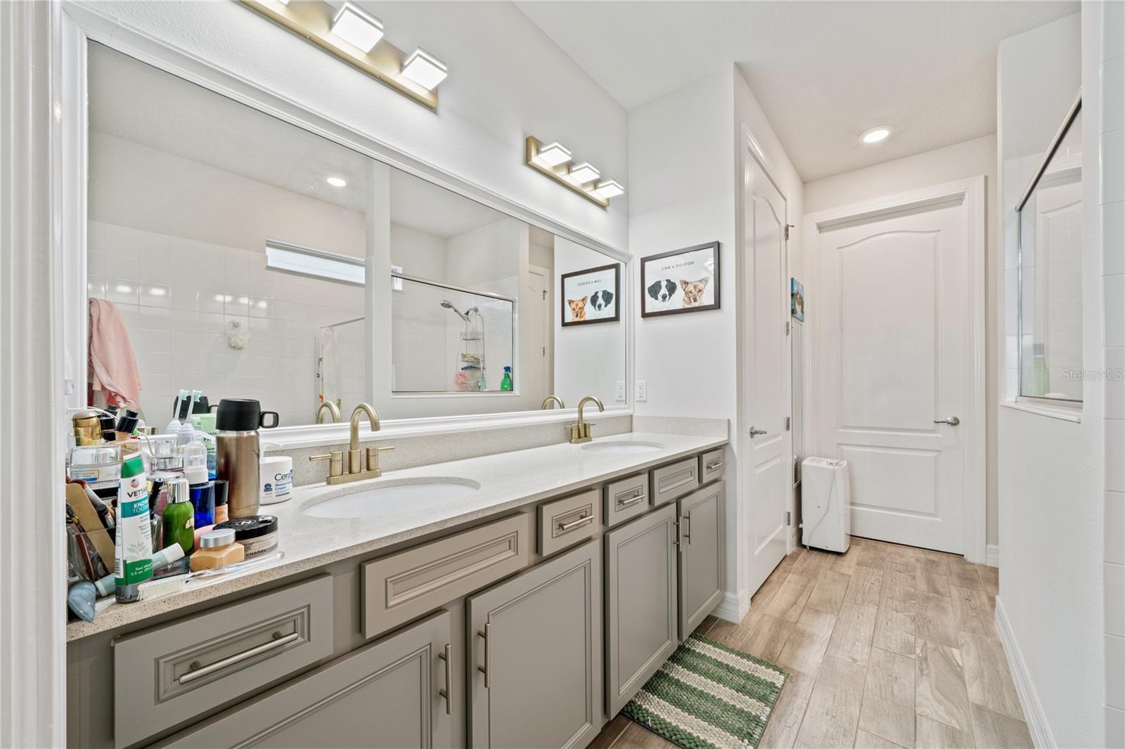 10303 MALVASIA AVE, RIVERVIEW, FL, 33578